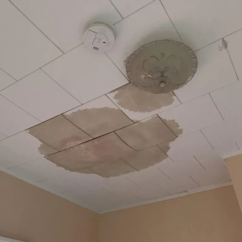 Ceiling Water Damage Repair in Jericho, NY
